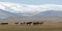Климатообразование в Центральной Азии
